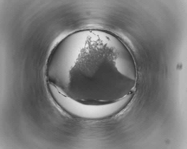 X0000093621373200711121226