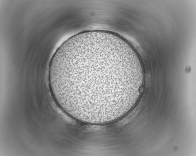 X0000093621374200711121226