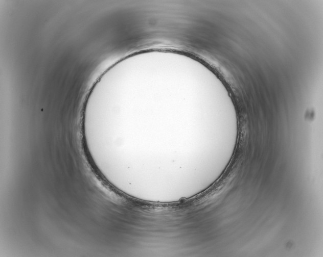 X0000093621375200711121226