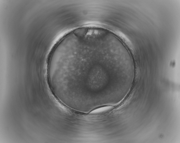 X0000093621376200711121226