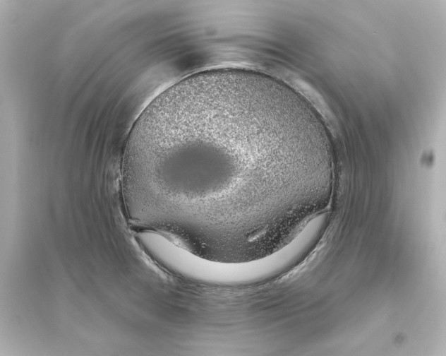 X0000093621377200711121226