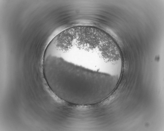 X0000093621378200711121226