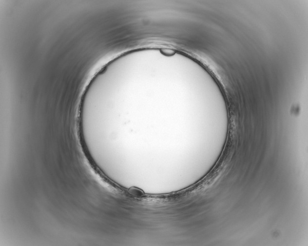 X0000093621379200711121226