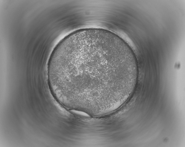 X0000093621380200711121226