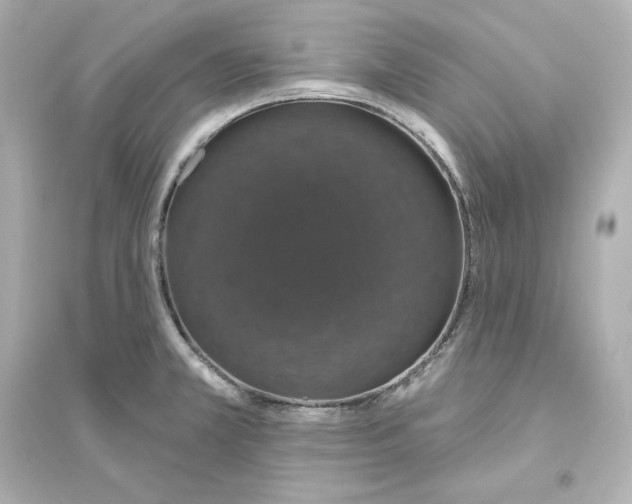 X0000093621381200711121226