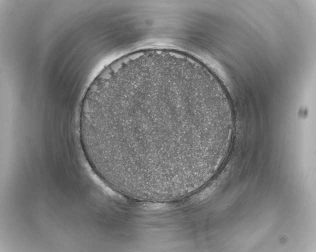 X0000093621382200711121226