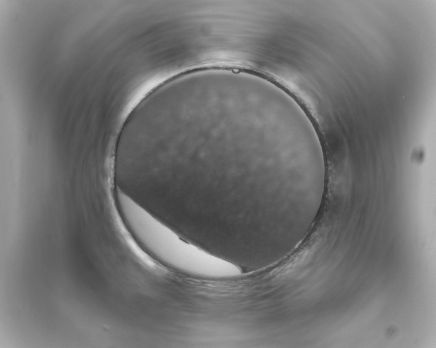 X0000093621383200711121226