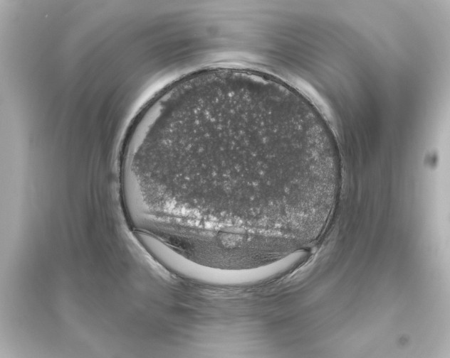 X0000093621384200711121226