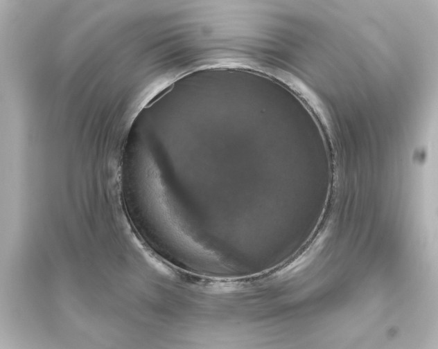 X0000093621385200711121226