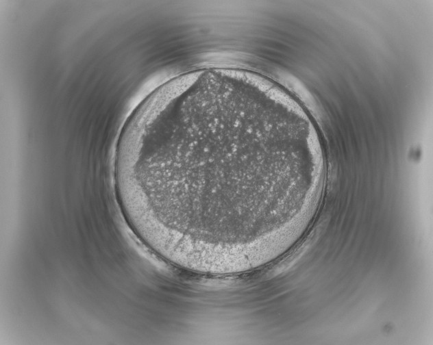 X0000093621386200711121225