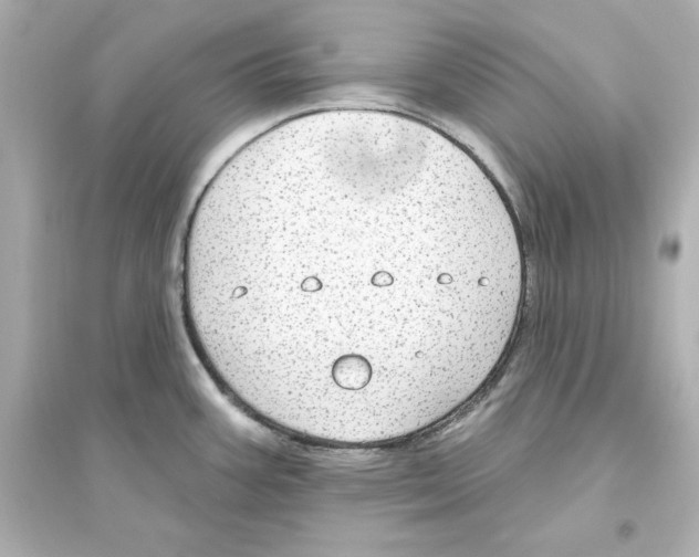 X0000093621387200711121225