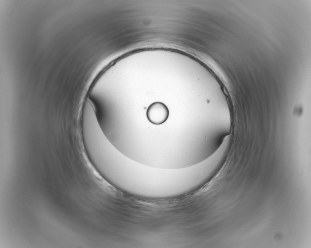 X0000093621388200711121225