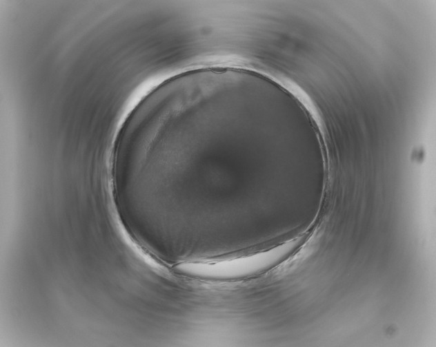 X0000093621389200711121225