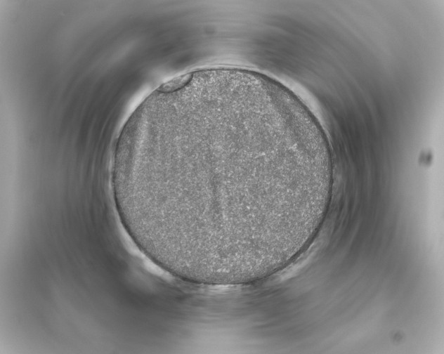 X0000093621390200711121225