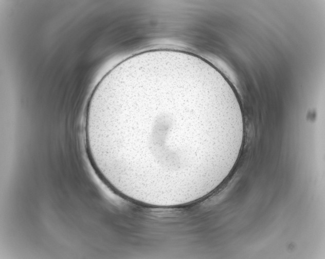 X0000093621391200711121225