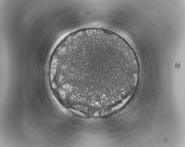 X0000093621392200711121225