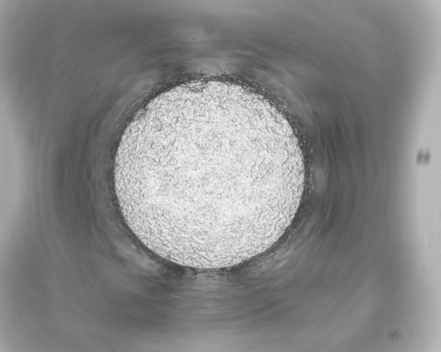 X0000093621393200711121225