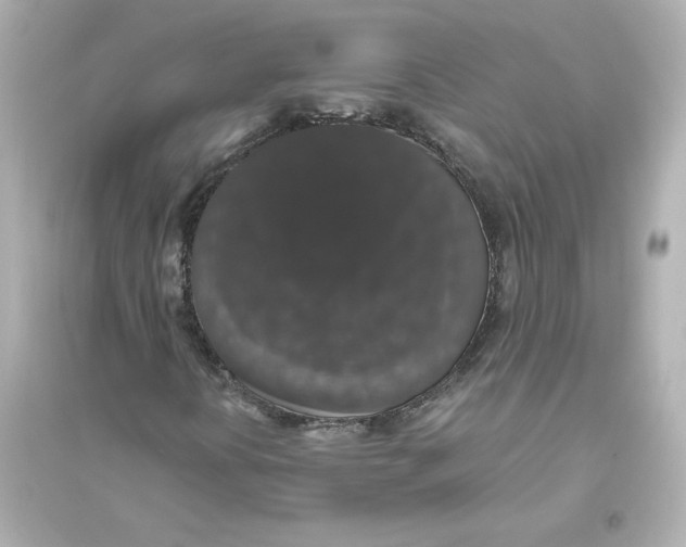 X0000093621394200711121225