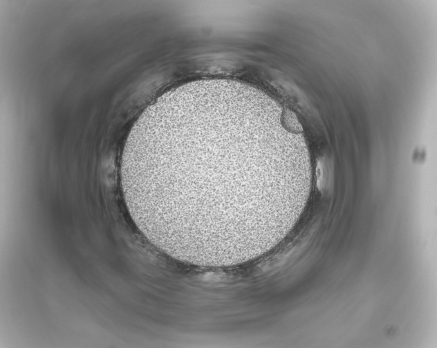 X0000093621395200711121225