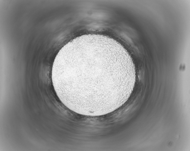 X0000093621396200711121225