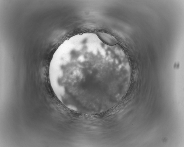 X0000093621397200711121225