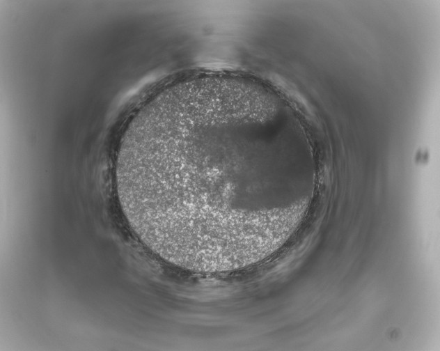 X0000093621398200711121225