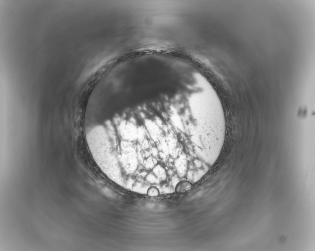 X0000093621399200711121225