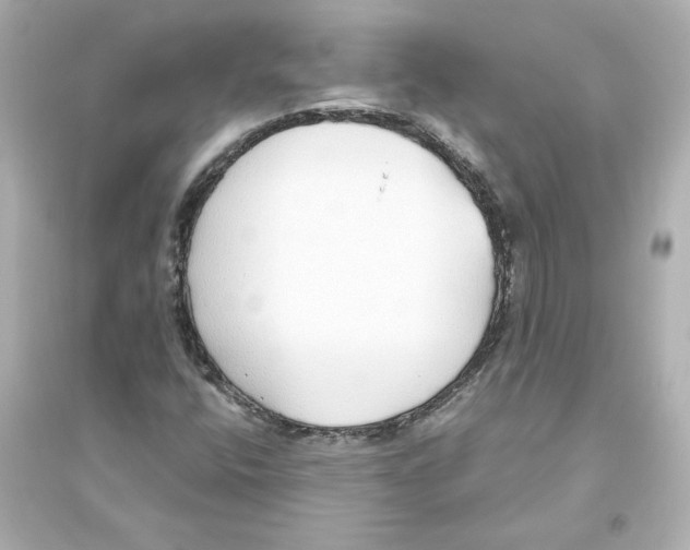 X0000093621400200711121225