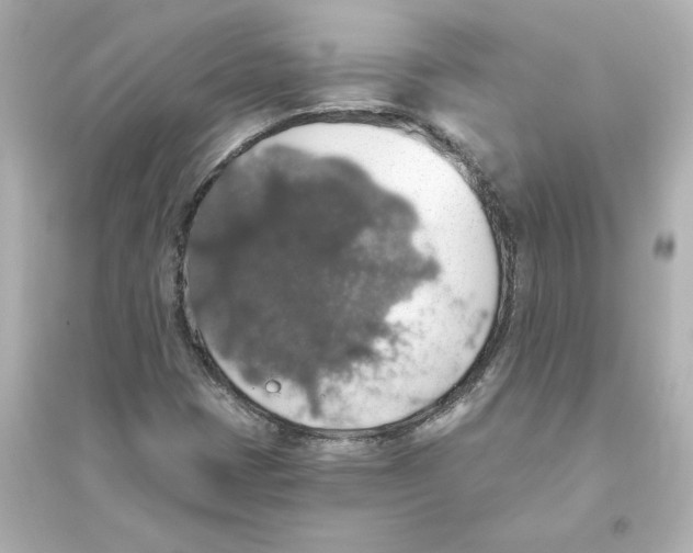 X0000093621401200711121225