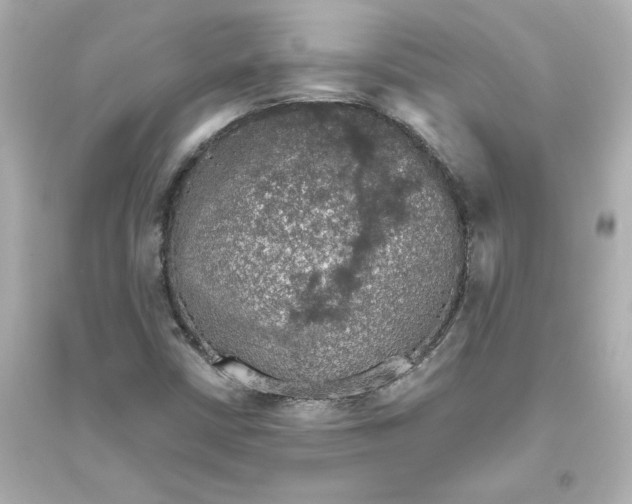 X0000093621402200711121225