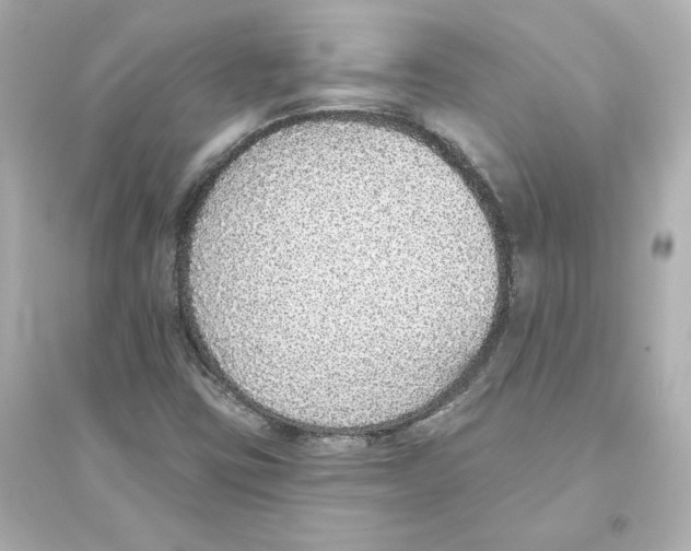 X0000093621403200711121225