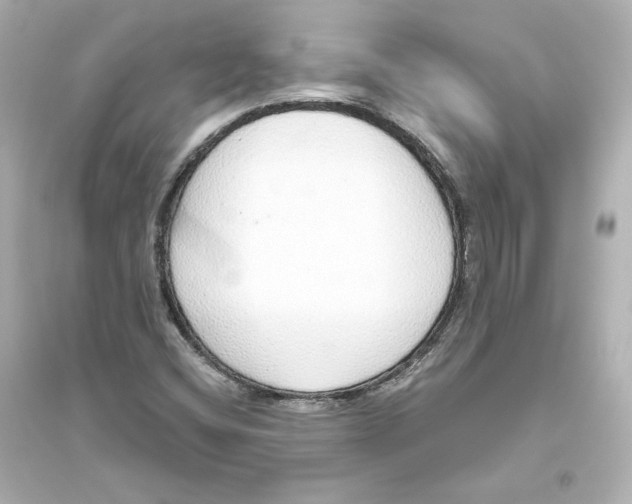 X0000093621404200711121225