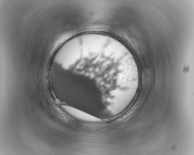 X0000093621405200711121225