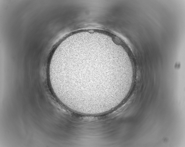 X0000093621407200711121225