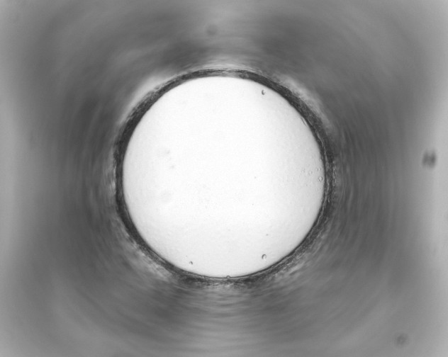 X0000093621408200711121225