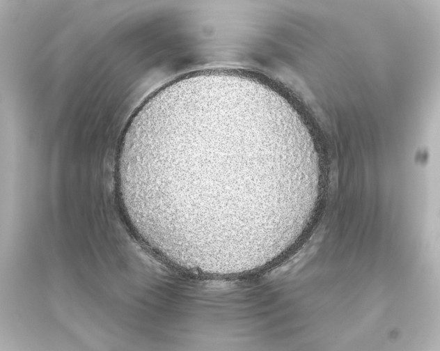 X0000093621409200711121225