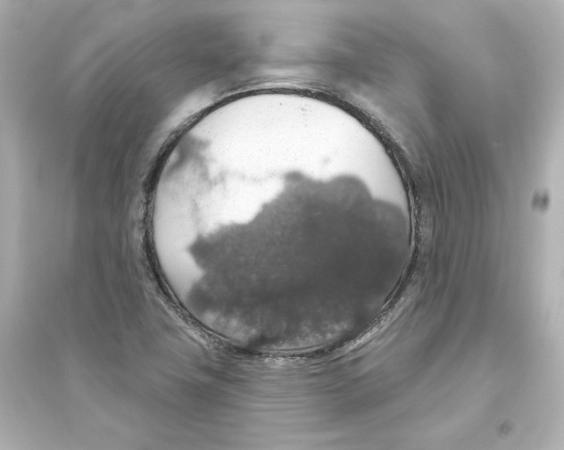 X0000093621411200711121225