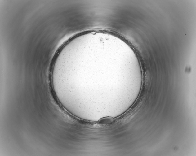 X0000093621412200711121225