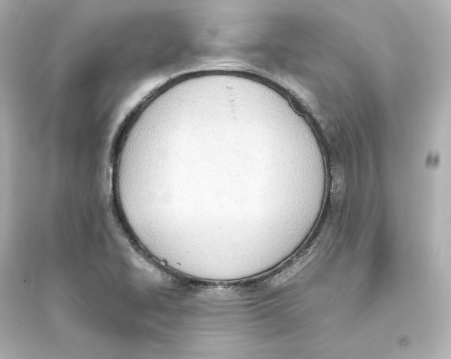 X0000093621414200711121225