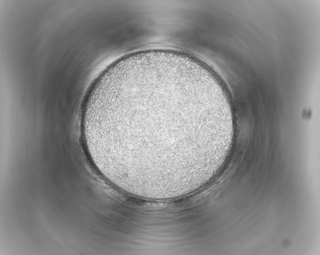 X0000093621415200711121225