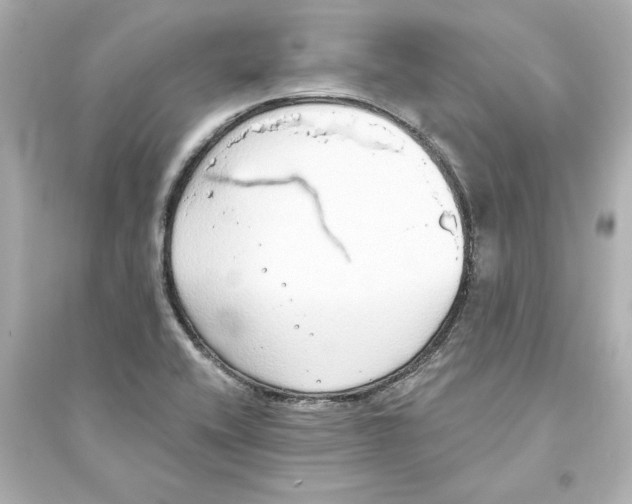 X0000093621416200711121225