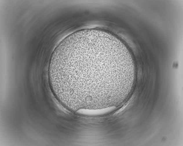 X0000093621417200711121225