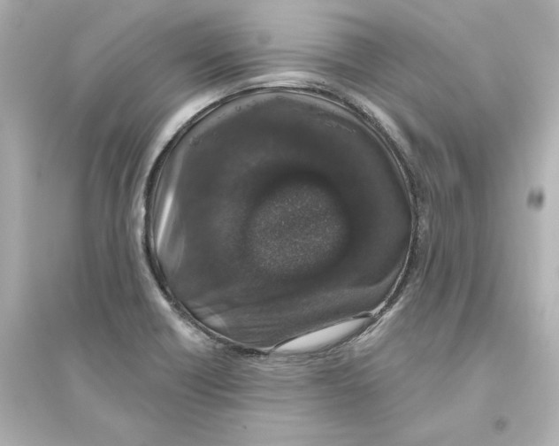 X0000093621418200711121225