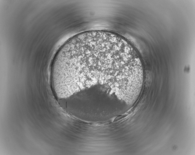 X0000093621419200711121225