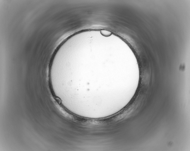 X0000093621420200711121225