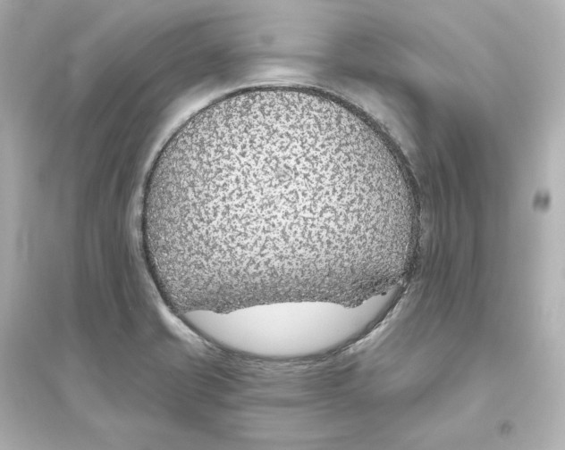 X0000093621421200711121225