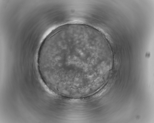 X0000093621422200711121225