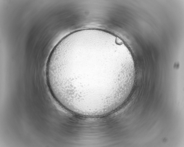 X0000093621423200711121225