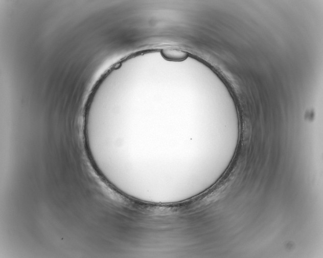 X0000093621424200711121225