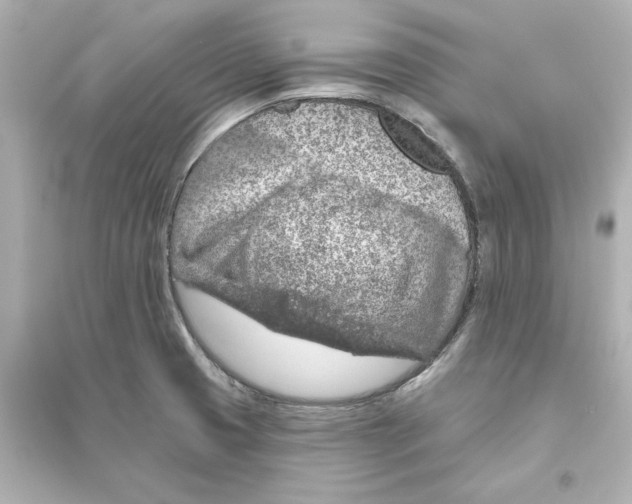 X0000093621425200711121225